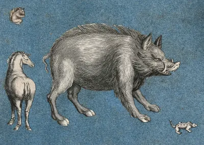 A wild boar or warthog, a horse, a squirrel and a lizard (?)