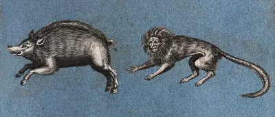 A wild boar (or warthog?) and a monkey