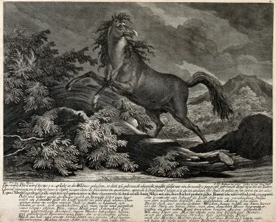 A wild horse rearing in front of a mountainous landscape