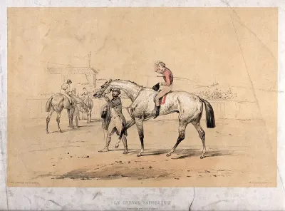 A winning race horse and jockey are led from the race course