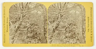 A Winter's Morning. Among the Boughs., No. 298 from the series "In and About the Dells of the Wisconsin River"