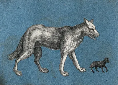 A wolf and a lamb