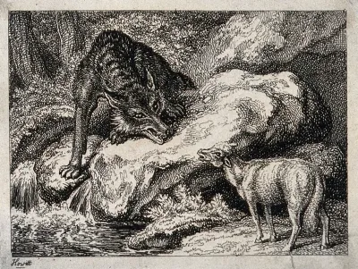 A wolf sitting on a rock above the water is speaking to a lamb standing on the shore below him
