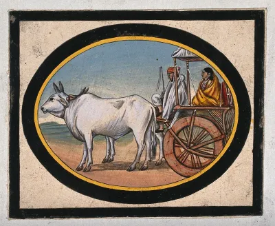 A woman in a yellow sari, riding in a carriage drawn by bullocks