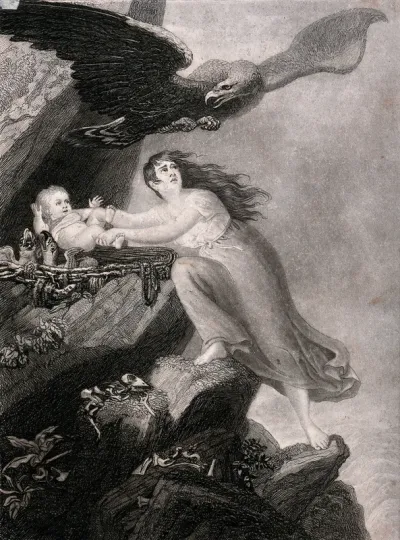 A woman is being attacked by an eagle as she attempts to rescue her baby from the eagle's nest where it has been taken as possible food for the young birds