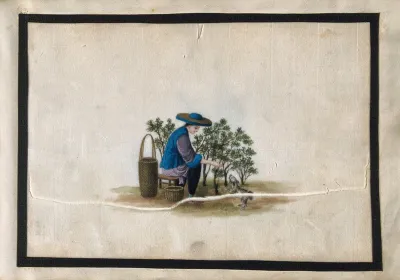 A woman plucking tea
