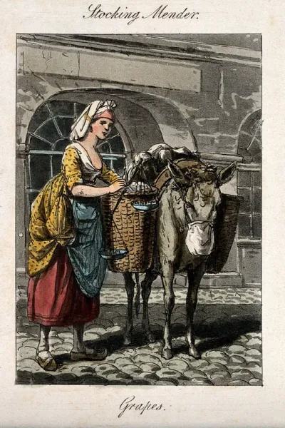 A woman with a donkey whose panniers are full of grapes