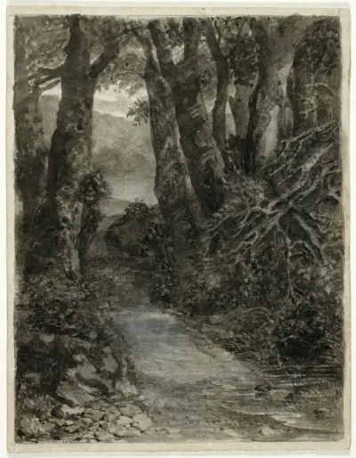 A Woodland Study