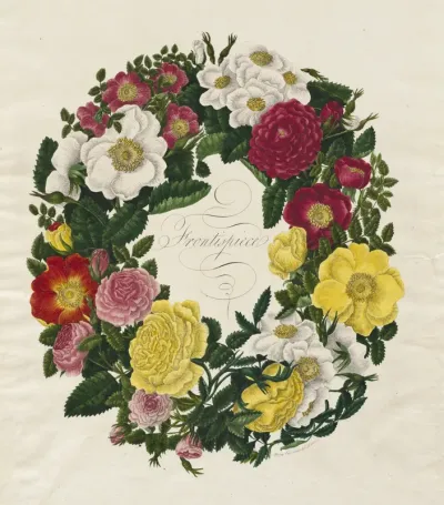A Wreath of Roses