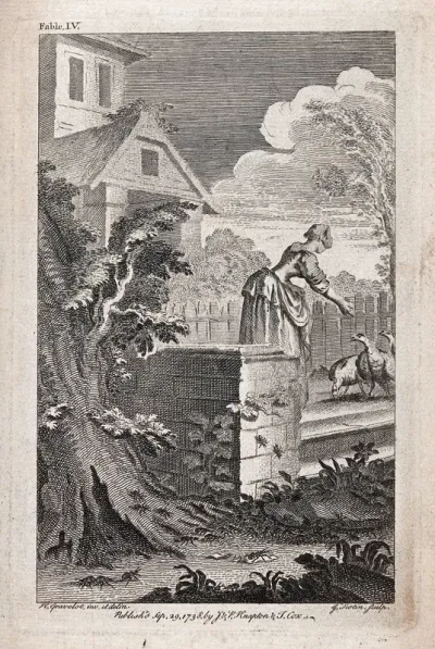 A young maid feeding turkeys in the yard