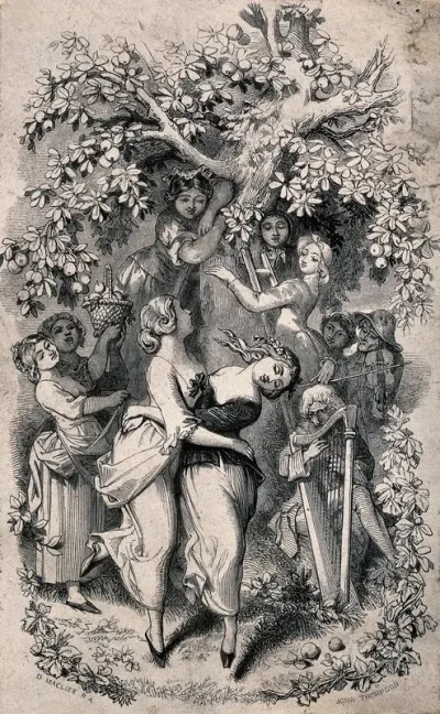 A young man plays a harp and an old man plays a violin as two girls dance under a tree watched by fruit pickers