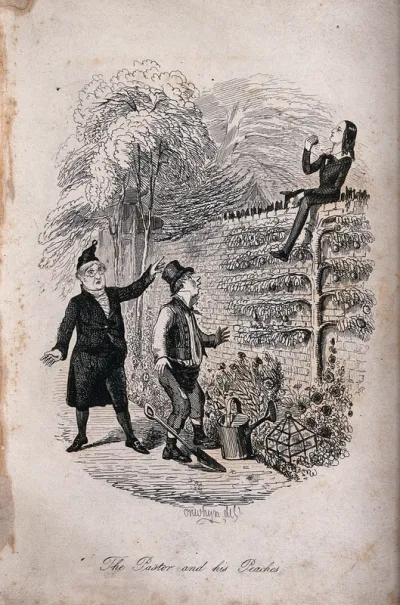 A young man who is a somnambulist sleepwalks to the garden of a parson and sits on the wall eating peaches, to the annoyance of the gardener and the proprietor