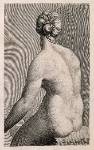 A young nude woman sitting: back view