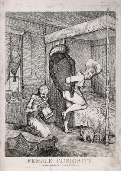 A young woman in her bed chamber trying a wig on her bottom for effect: her maid-servant holds a mirror for her and sniggers with amusement; a cat arches its back in fright and a dog dives for cover under the young woman's corset which is lying on th