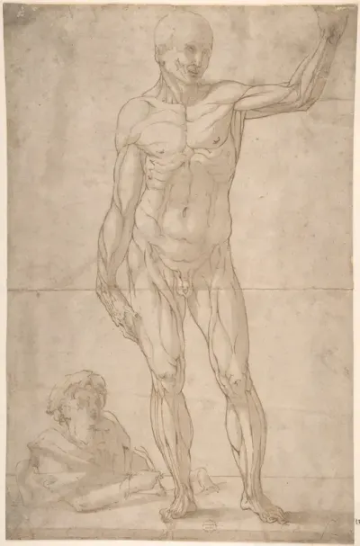 A youth lower left drawing an ecorché of a standing man