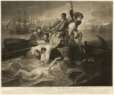 A Youth Rescued from a Shark