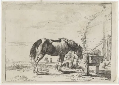 Aan een voederbak vastgebonden paard