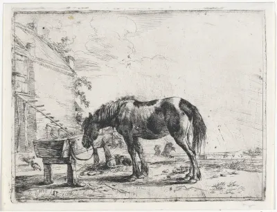 Aan een voederbak vastgebonden paard