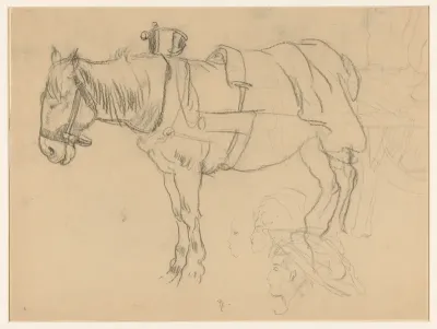 Aangespannen paard en kopstudies