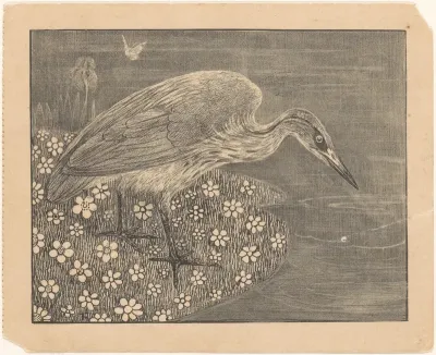 Aankondiging met reiger voor serie 'Dierstudies'