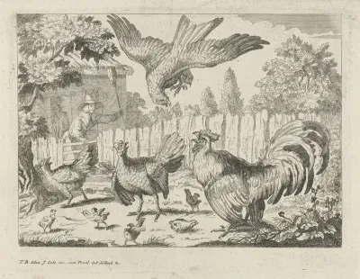 Aanval van een buizerd op kippen