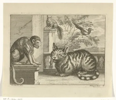Aap, kat, eekhoorn en ekster
