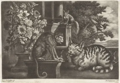Aap, kat, eekhoorn en ekster