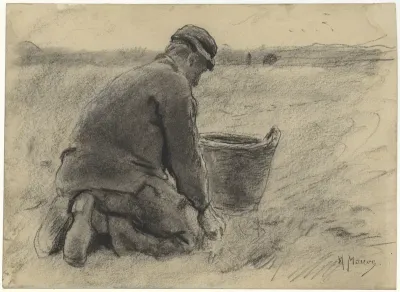Aardappelrooier