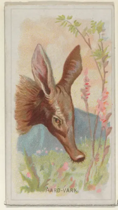 Aardvark, from the Wild Animals of the World series (N25) for Allen & Ginter Cigarettes