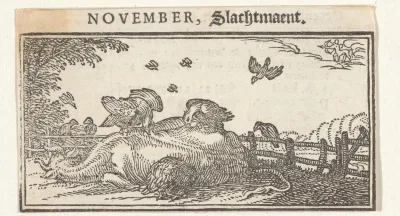 Aaseters bij het kadaver van een koe