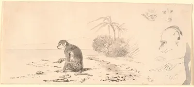 Abekatten. T.h. studier af abeho-veder m.m.