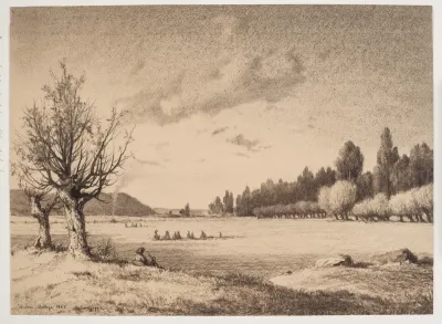 Åbent landskab med skov i baggrunden. Bourgogne