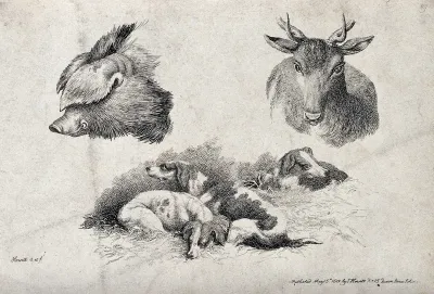 Above, a hog's head and a stag's head; below, hunting dogs resting in the straw