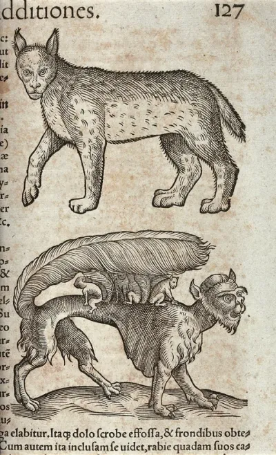 Above, a lynx; below, a beast with a feathery tail carrying its young on its back