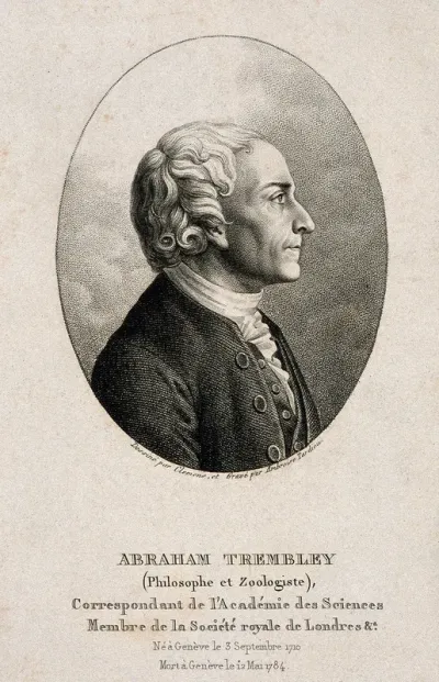 Abraham Trembley