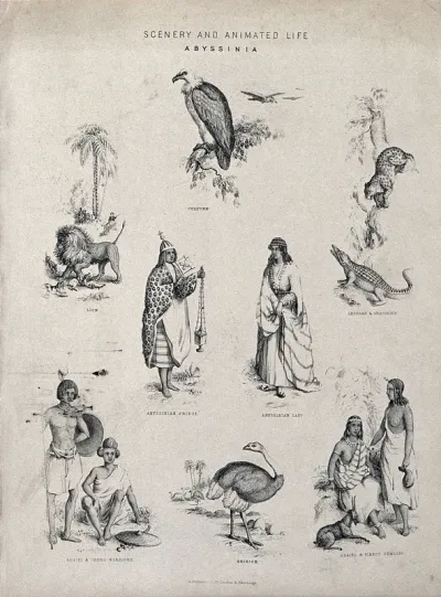 Abyssinia (Ethiopia): animals and indigenous people, including an Abyssinian priest, Adael and Shoho warriors