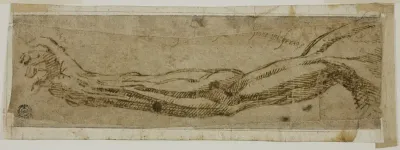 Academic Arm, Extended