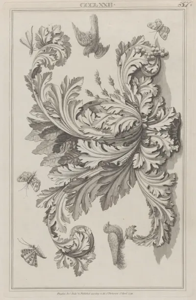 Acanthus Leaves, Birds and Insects, no. CCCLXXII, plate 57 from "Designs for Various Ornaments"