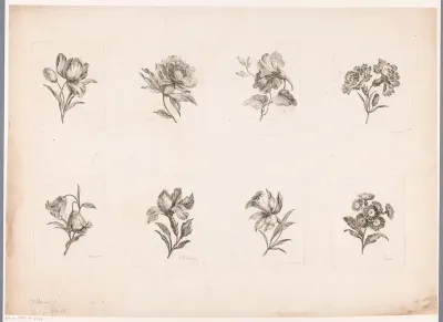 Acht bloemen