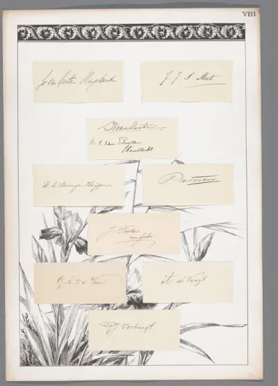 Acht handtekeningen geplakt op een blad met irissen en decoratieve rand