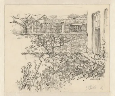 Achtertuin van een huis