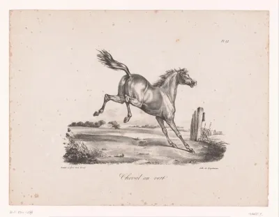 Achteruitslaand paard in een weiland