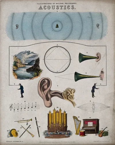 Acoustics: sonic phenomena and musical instruments