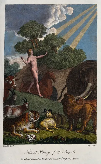 Adam is standing in the garden of Eden looking up to the godhead while being surrounded by the animals of the creation