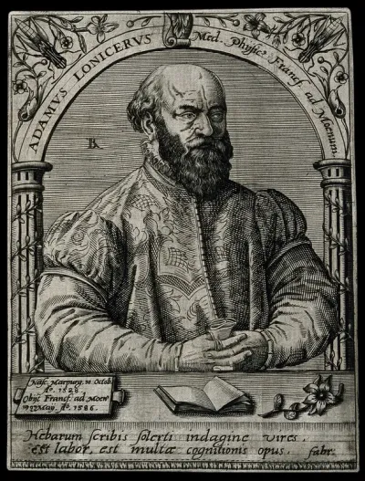 Adam Lonicerus. Line engraving by T. de Bry