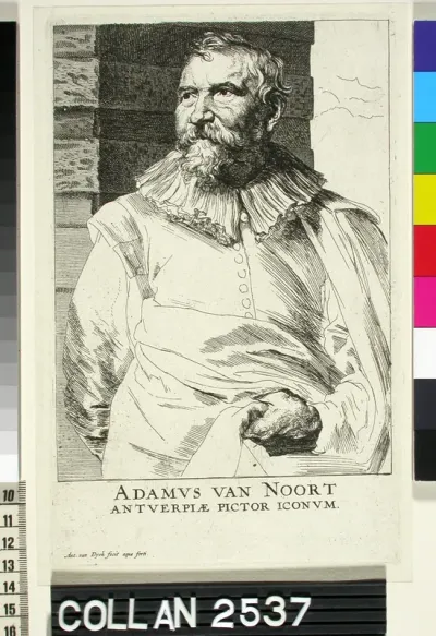 Adamus van Noort