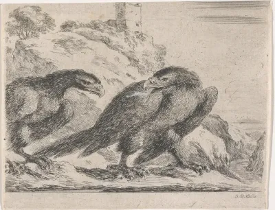 Adelaar naar rechts lopend, omkijkend naar ander adelaar