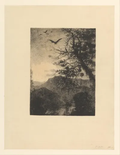 Adelaars boven een berglandschap