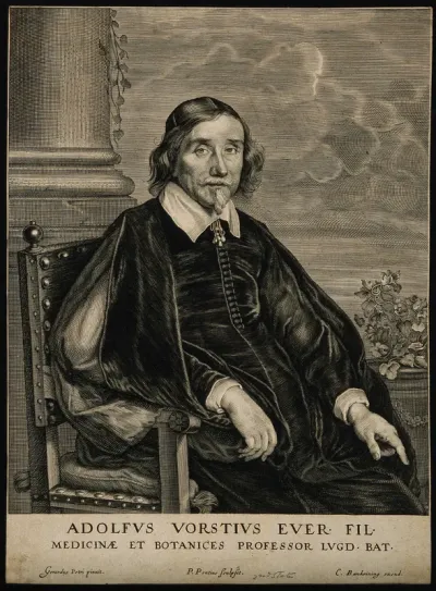 Adolphus Vorstius