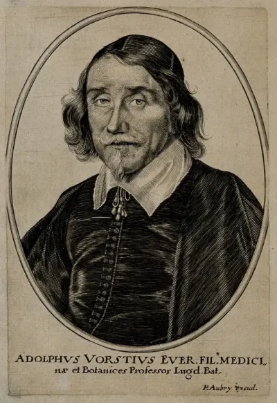 Adolphus Vorstius